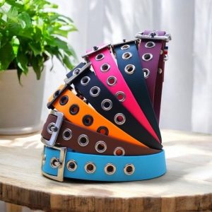 Colliers pour chien en Biothane avec œillets - Atelier Juno