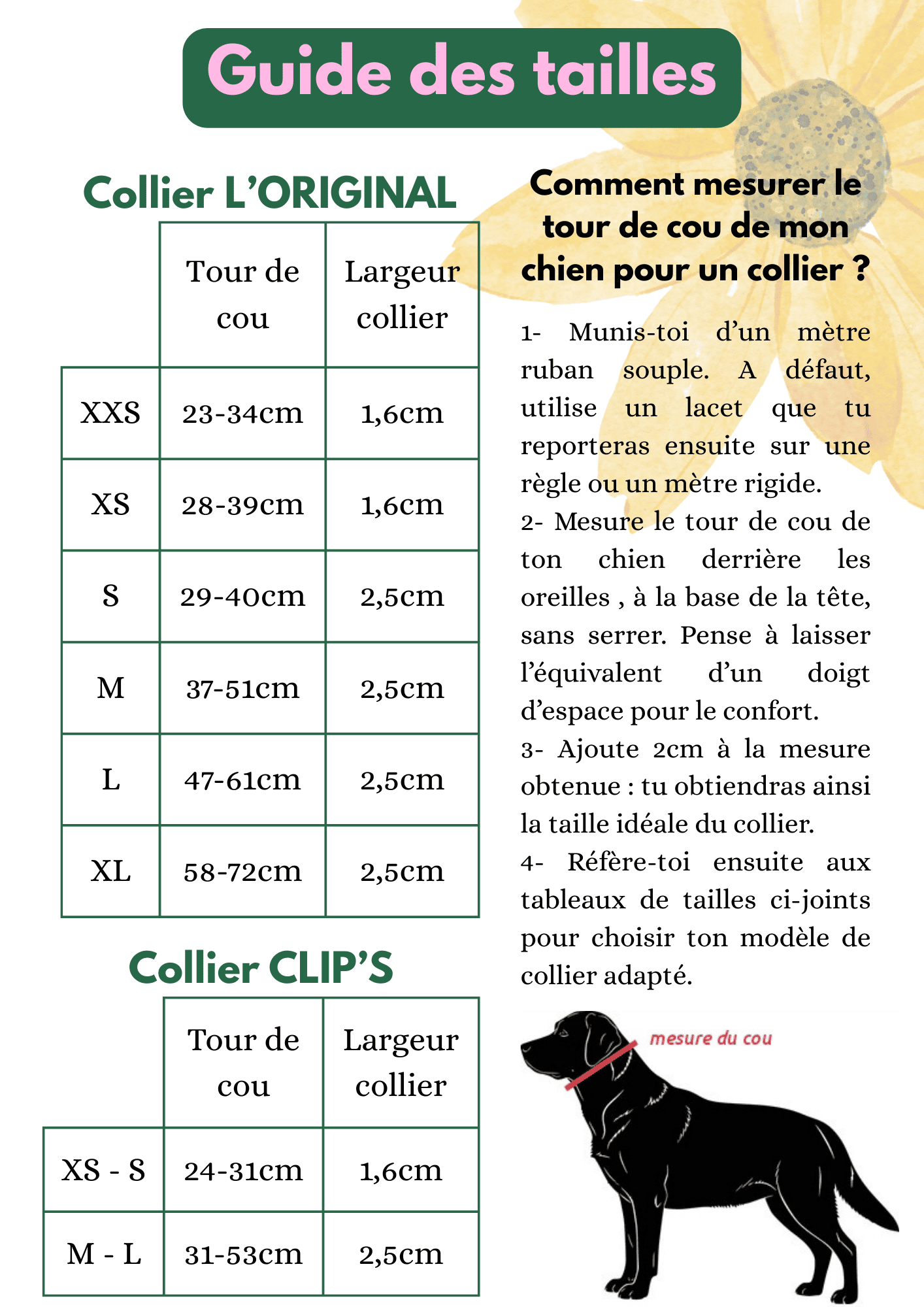 Guide des tailles de colliers pour chien - Atelier Juno