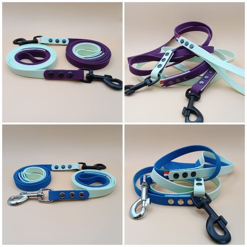 Laisse pour chien bicolore