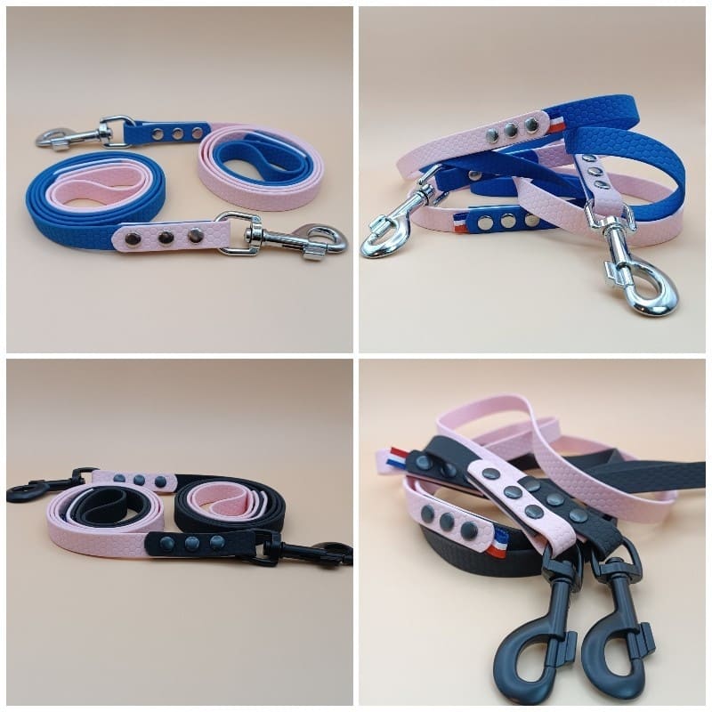 Laisse pour chien bicolore