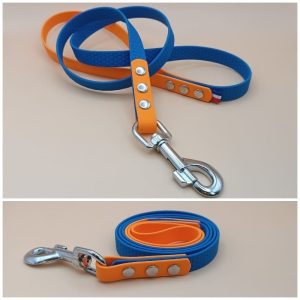 Laisse pour chien bicolore