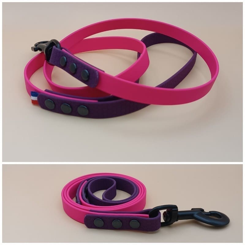 Laisse pour chien bicolore