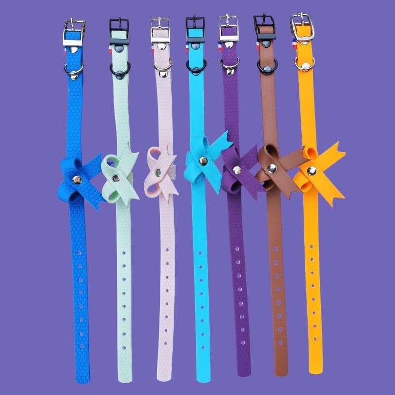 Noeud papillon pour chien - Accessoire Biothane