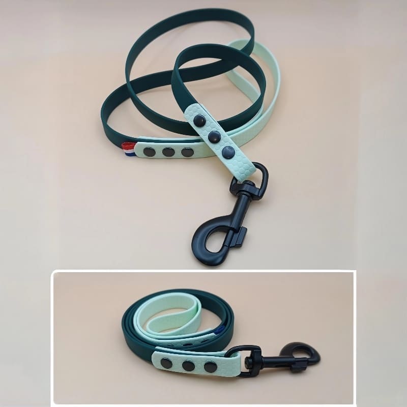 Laisse pour chien bicolore