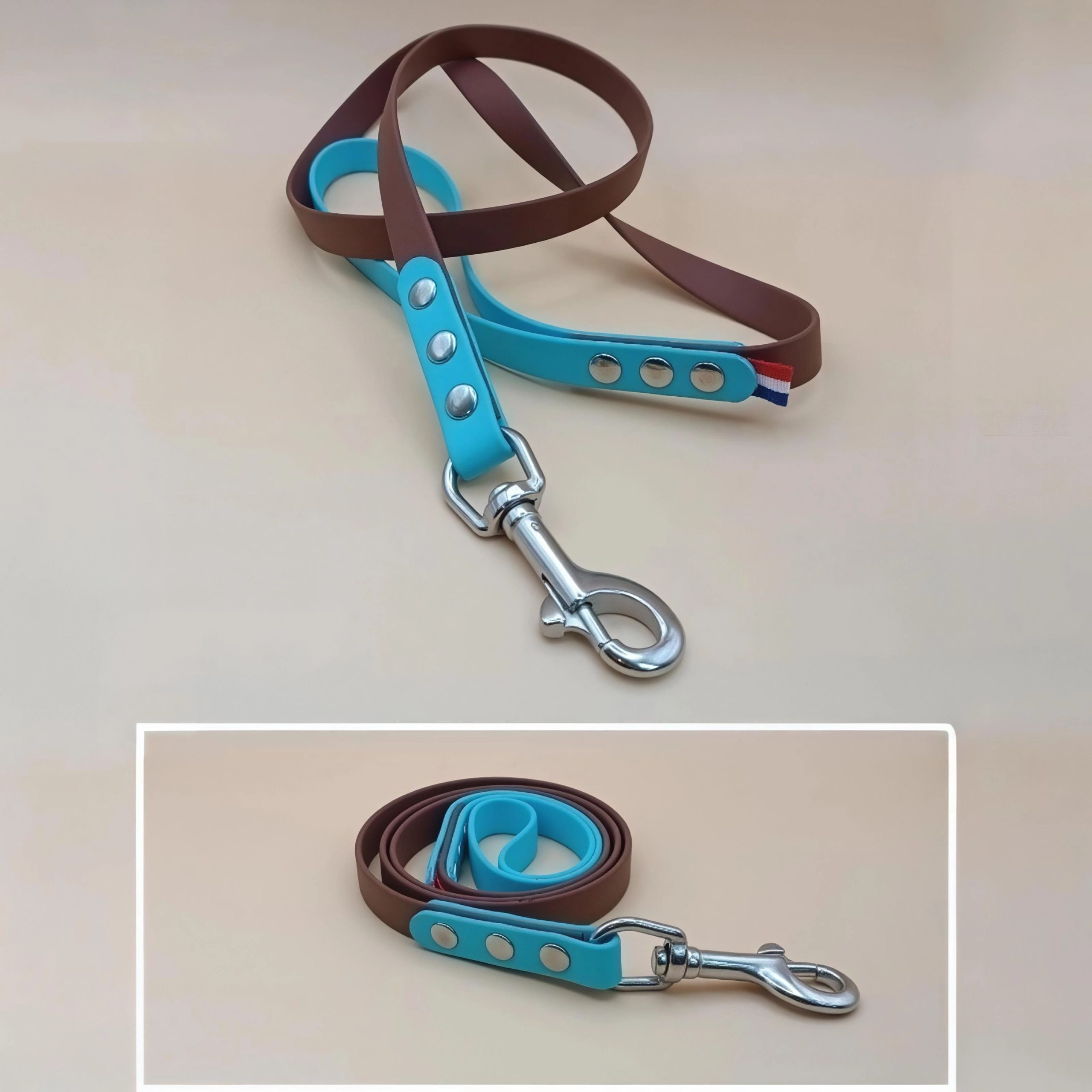 Laisse pour chien bicolore