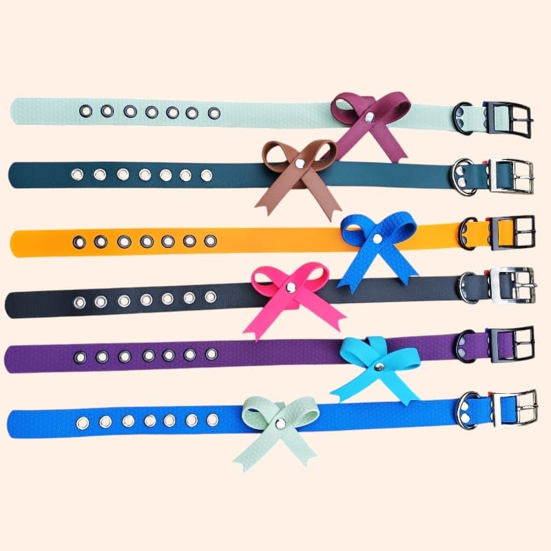 Noeud papillon pour chien - Accessoire Biothane