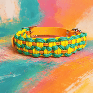 Collier Paracorde chien