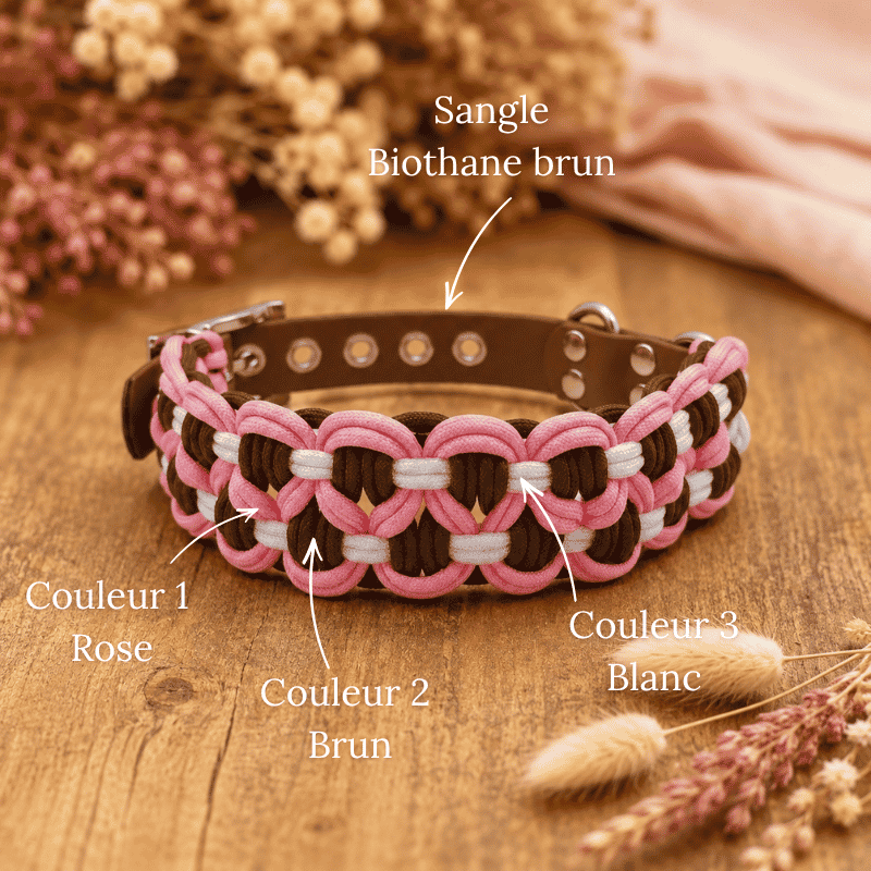 Collier "Neptune" (moyen/grand chien) – Image 3